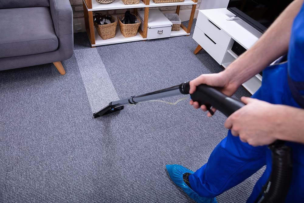 Find carpet cleaning expert near you